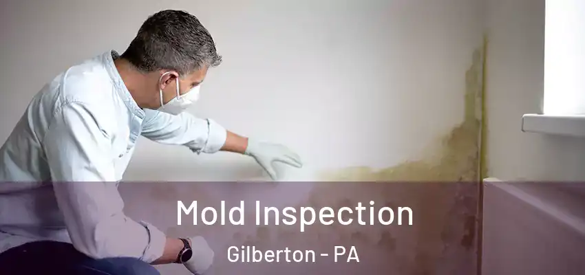  Mold Inspection Gilberton - PA