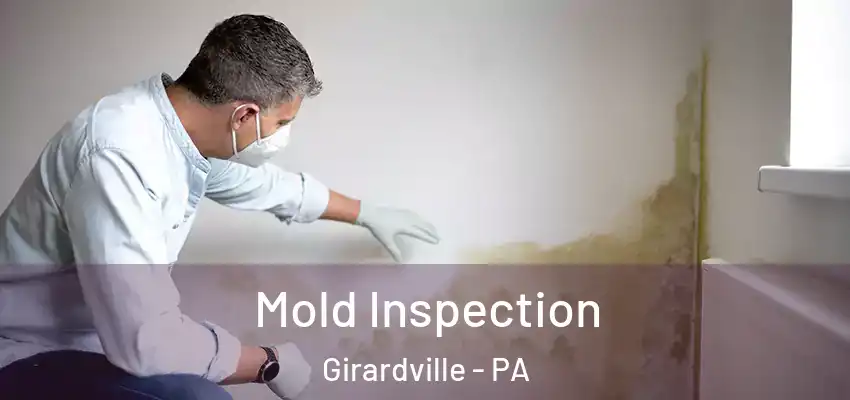 Mold Inspection Girardville - PA