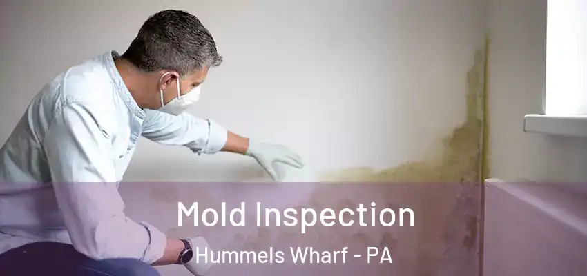 Mold Inspection Hummels Wharf - PA
