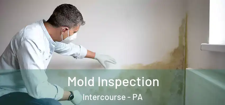 Mold Inspection Intercourse - PA