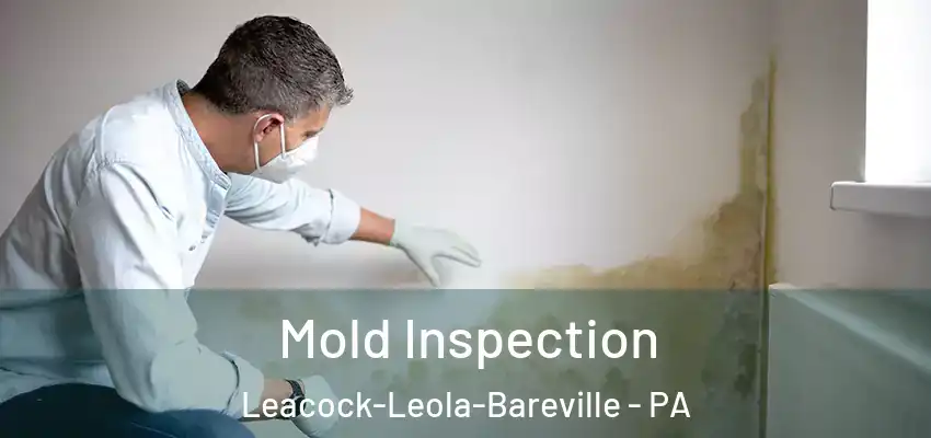  Mold Inspection Leacock-Leola-Bareville - PA