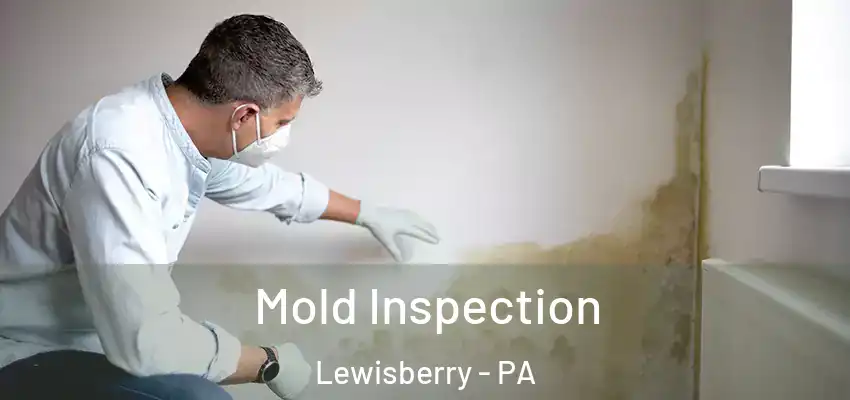  Mold Inspection Lewisberry - PA