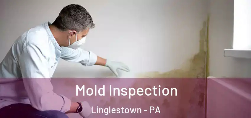  Mold Inspection Linglestown - PA