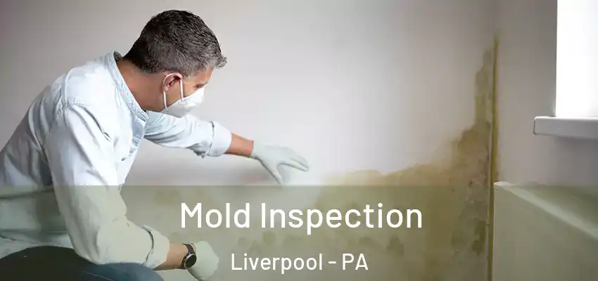Mold Inspection Liverpool - PA