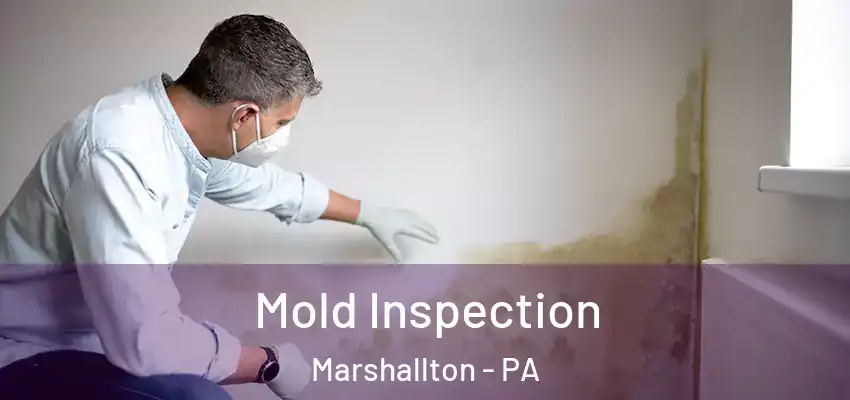 Mold Inspection Marshallton - PA