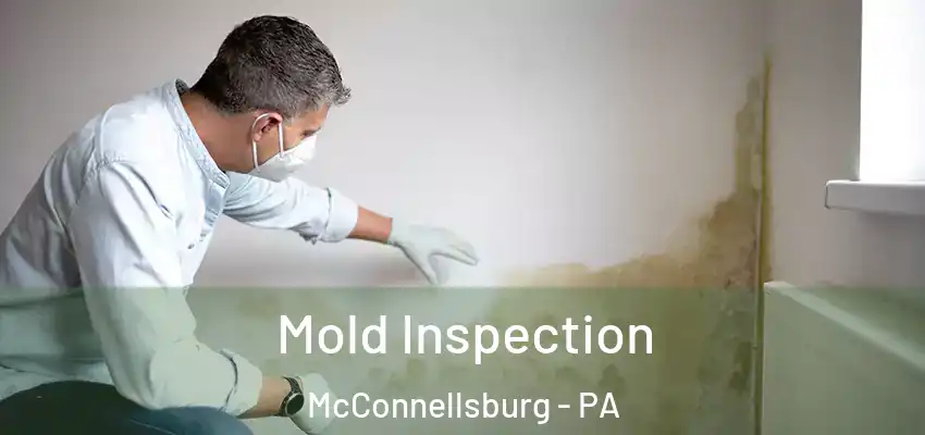  Mold Inspection McConnellsburg - PA
