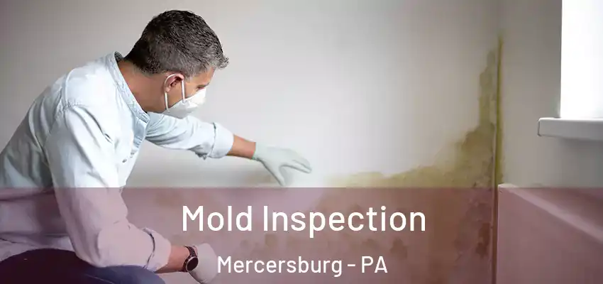  Mold Inspection Mercersburg - PA