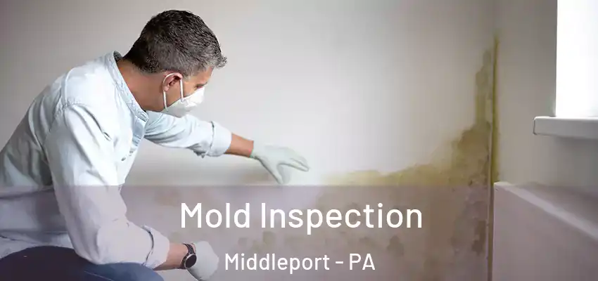 Mold Inspection Middleport - PA