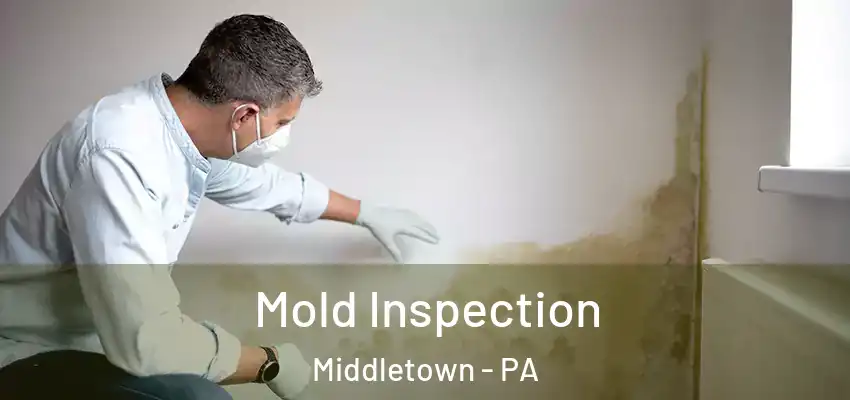  Mold Inspection Middletown - PA