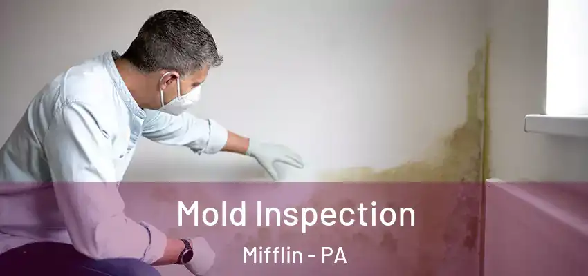 Mold Inspection Mifflin - PA