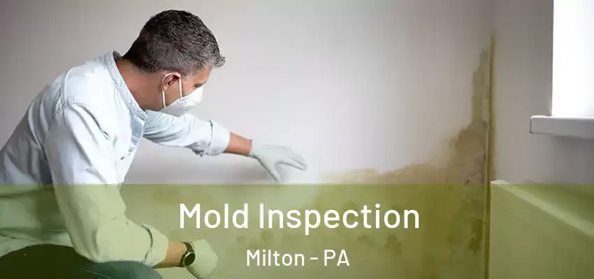 Mold Inspection Milton - PA