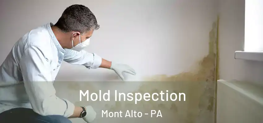  Mold Inspection Mont Alto - PA