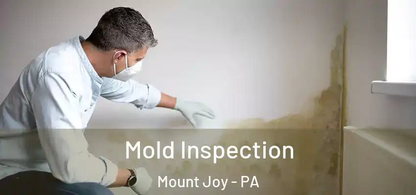  Mold Inspection Mount Joy - PA