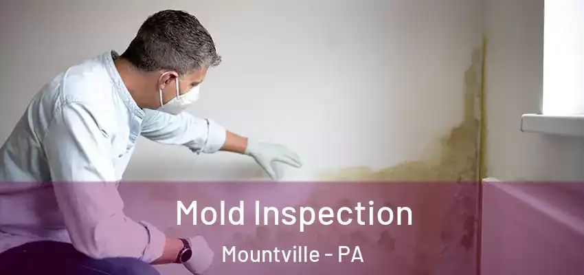  Mold Inspection Mountville - PA