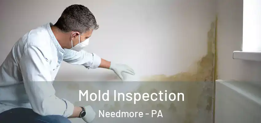 Mold Inspection Needmore - PA