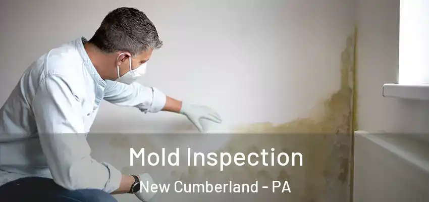 Mold Inspection New Cumberland - PA