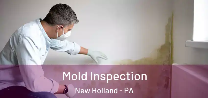 Mold Inspection New Holland - PA