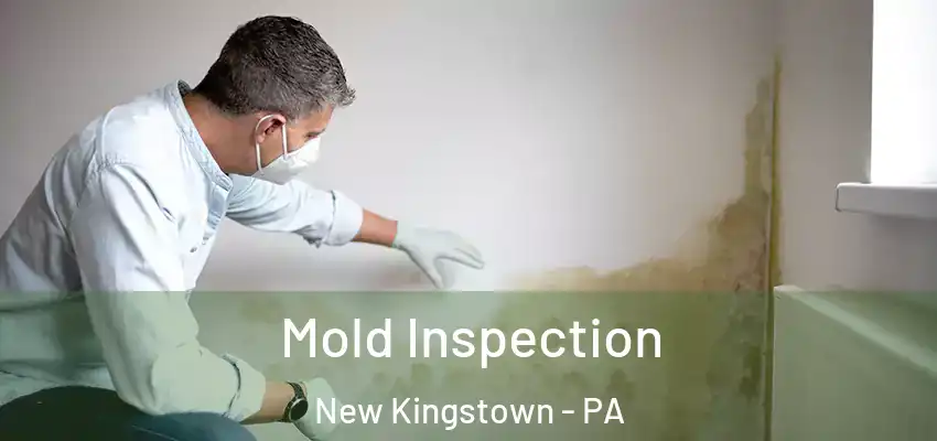 Mold Inspection New Kingstown - PA