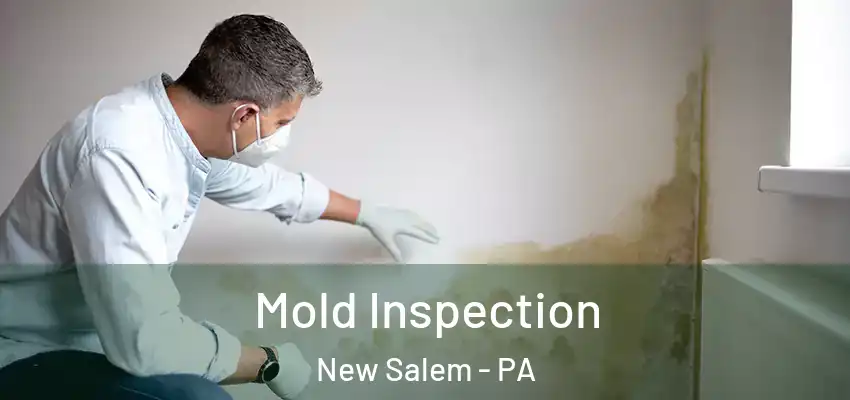  Mold Inspection New Salem - PA