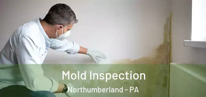  Mold Inspection Northumberland - PA