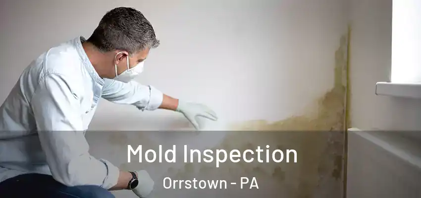 Mold Inspection Orrstown - PA