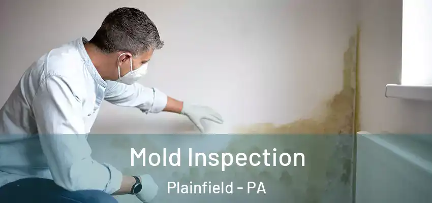 Mold Inspection Plainfield - PA