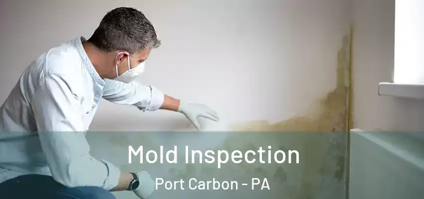 Mold Inspection Port Carbon - PA