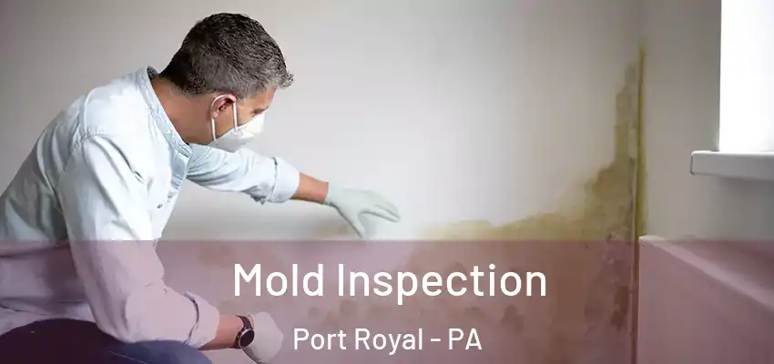  Mold Inspection Port Royal - PA