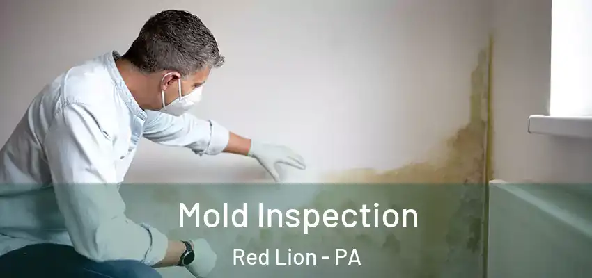  Mold Inspection Red Lion - PA