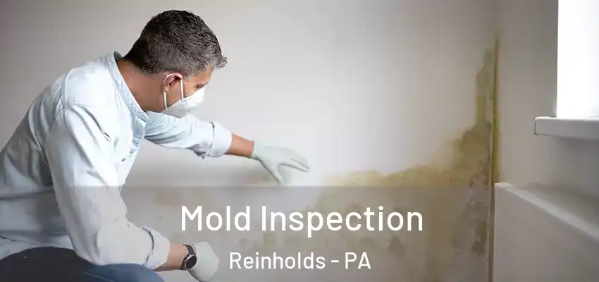 Mold Inspection Reinholds - PA