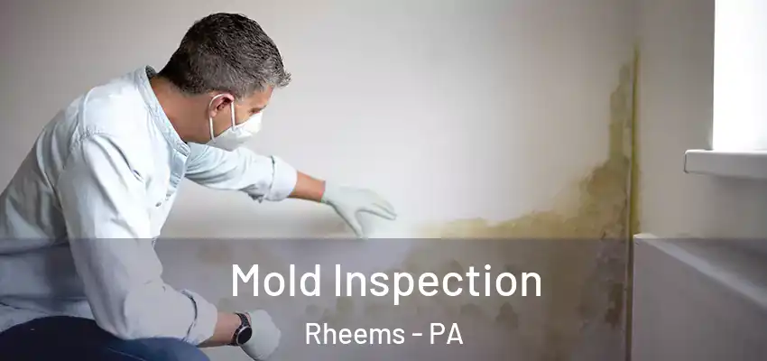 Mold Inspection Rheems - PA