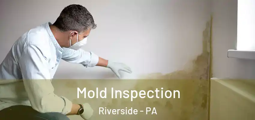 Mold Inspection Riverside - PA
