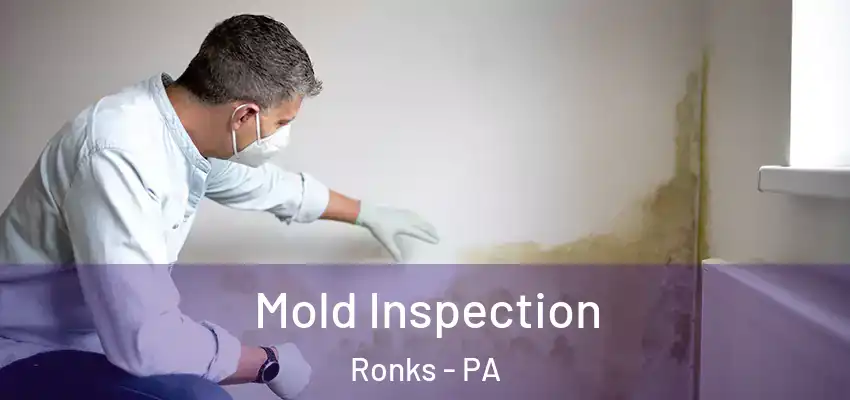 Mold Inspection Ronks - PA