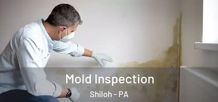  Mold Inspection Shiloh - PA