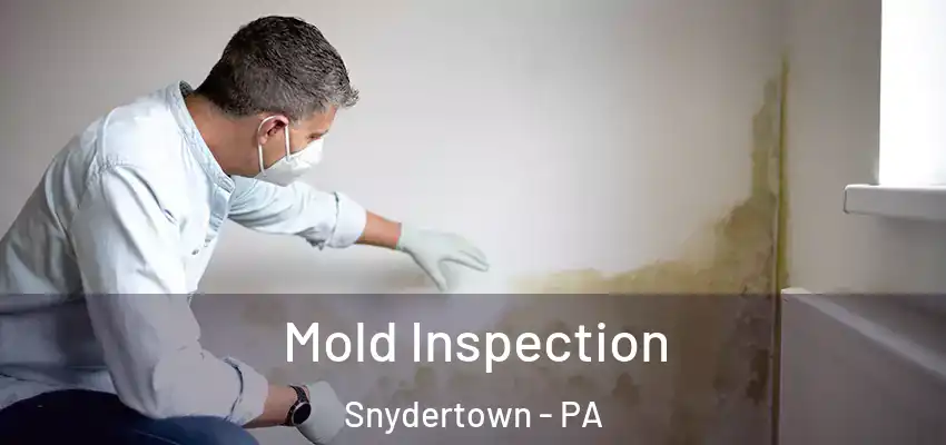  Mold Inspection Snydertown - PA