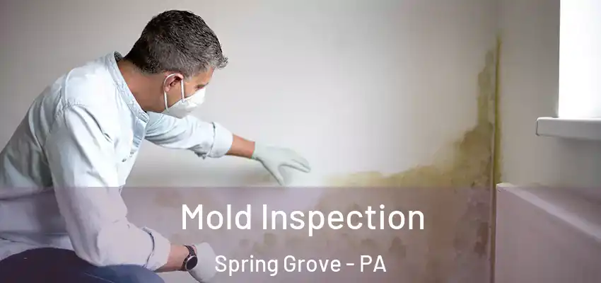 Mold Inspection Spring Grove - PA