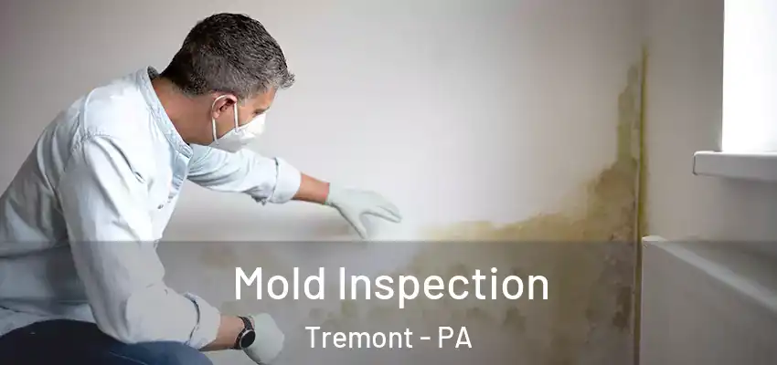  Mold Inspection Tremont - PA