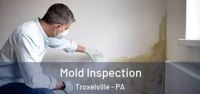  Mold Inspection Troxelville - PA