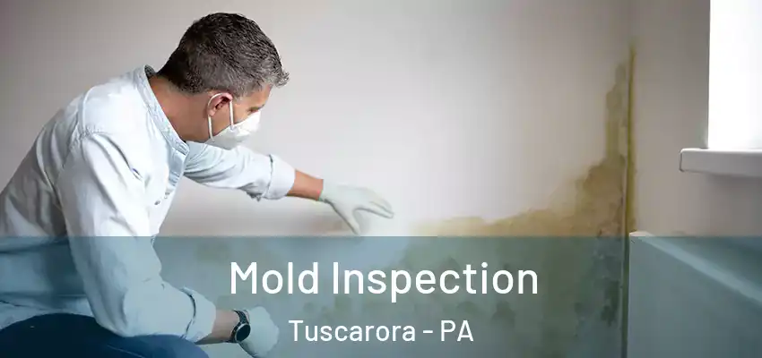  Mold Inspection Tuscarora - PA