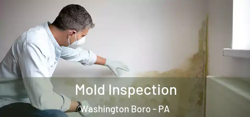  Mold Inspection Washington Boro - PA