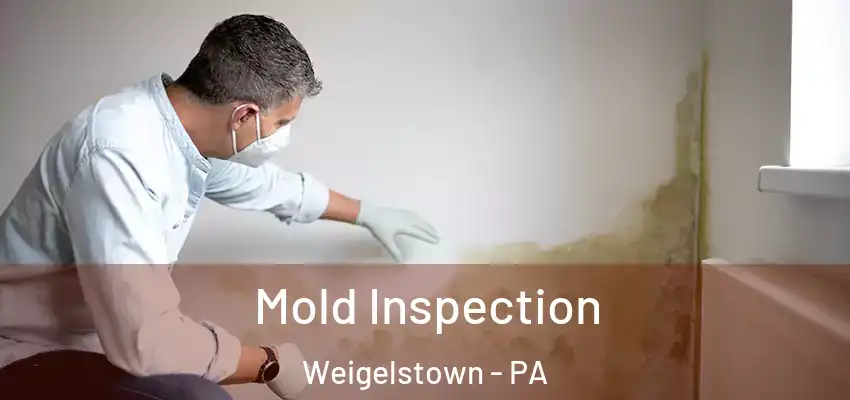 Mold Inspection Weigelstown - PA