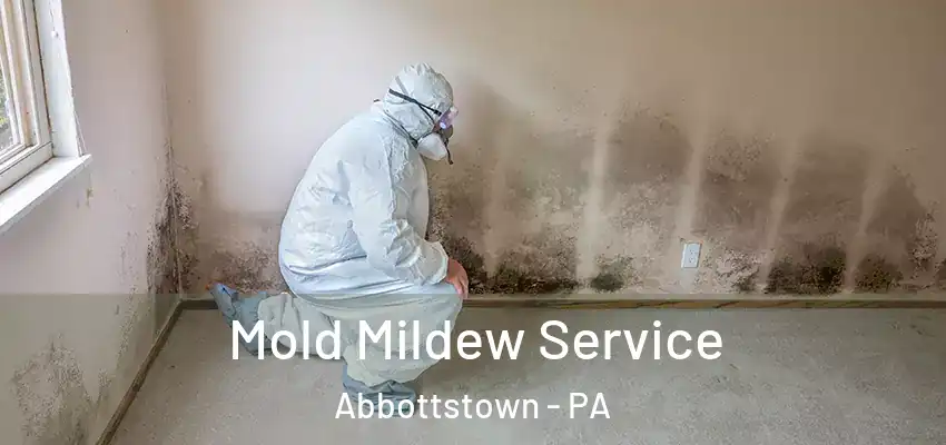 Mold Mildew Service Abbottstown - PA