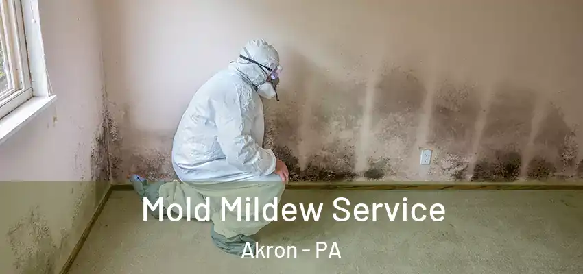 Mold Mildew Service Akron - PA