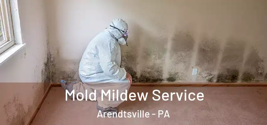 Mold Mildew Service Arendtsville - PA