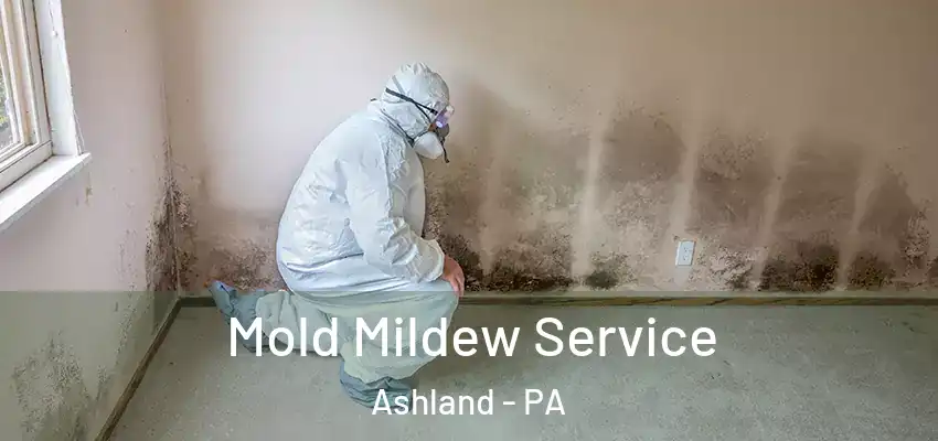  Mold Mildew Service Ashland - PA