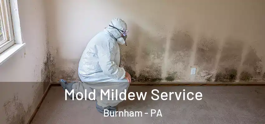 Mold Mildew Service Burnham - PA