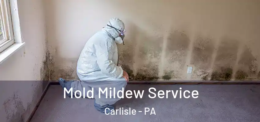  Mold Mildew Service Carlisle - PA