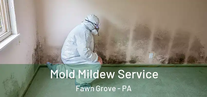 Mold Mildew Service Fawn Grove - PA