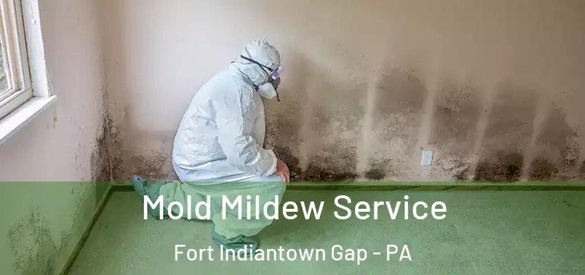 Mold Mildew Service Fort Indiantown Gap - PA