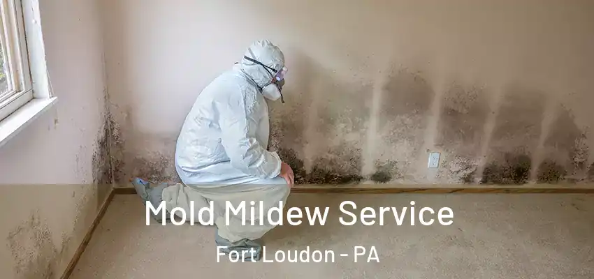  Mold Mildew Service Fort Loudon - PA